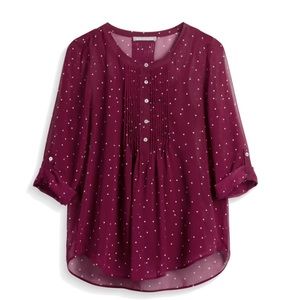 Daniel Rainn bilson pleat button up blouse